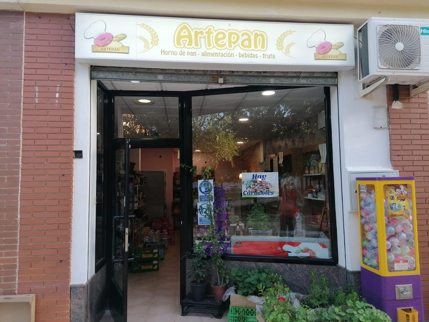 galeria artepan 2