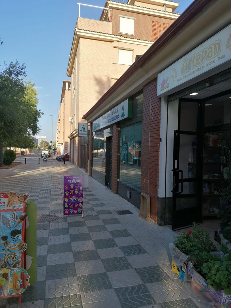 galeria artepan 3
