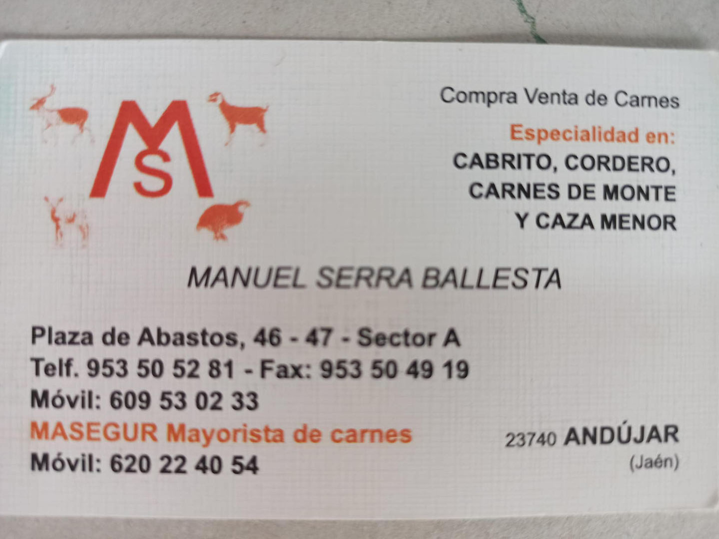 galeria carniceria manuel serra 2