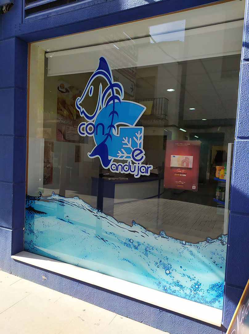 galeria conge andujar 1