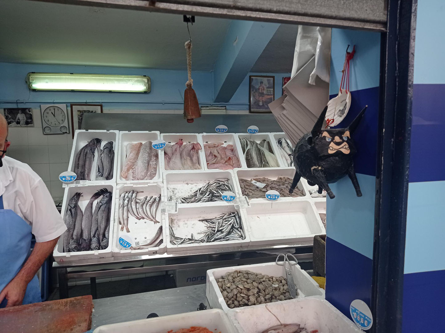 galeria congelados hermanos garcia 4