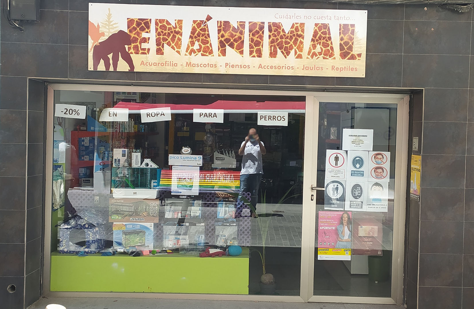 galeria enanimal 3