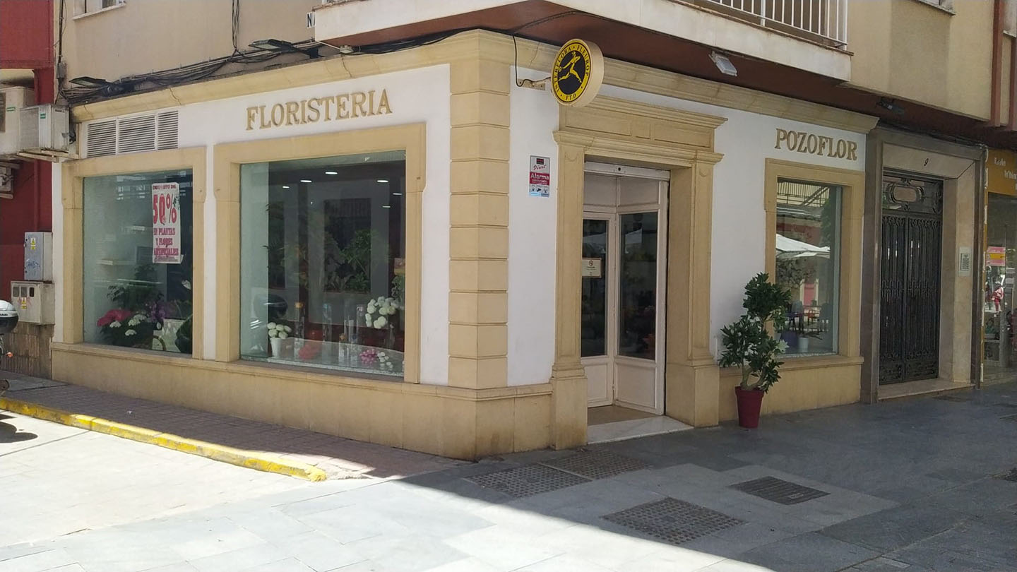 galeria floristeria pozoflor 1