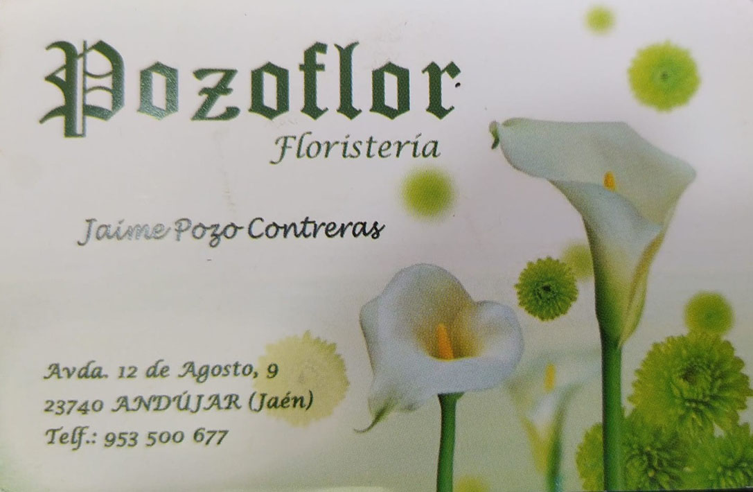 galeria floristeria pozoflor 2