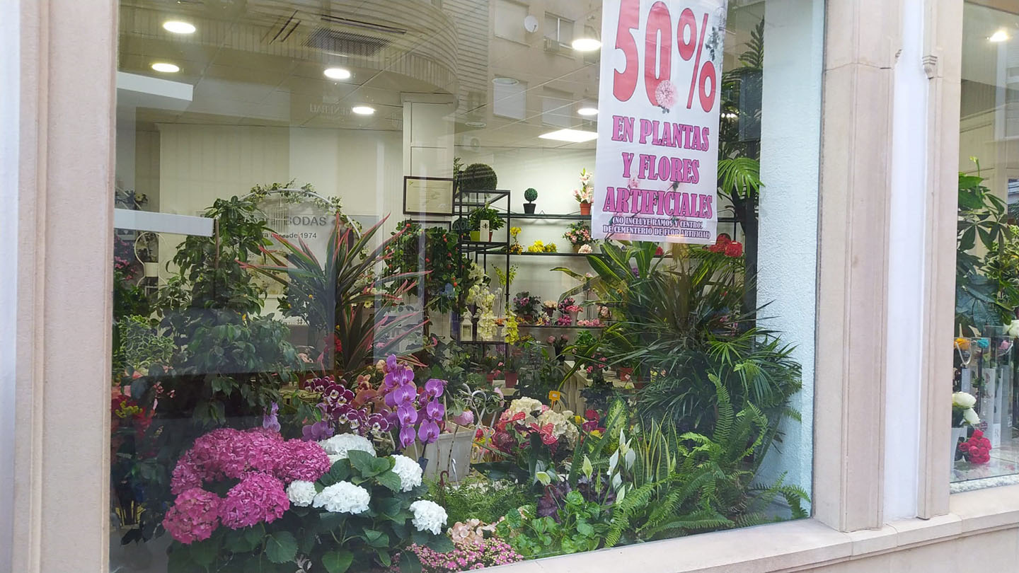 galeria floristeria pozoflor 4