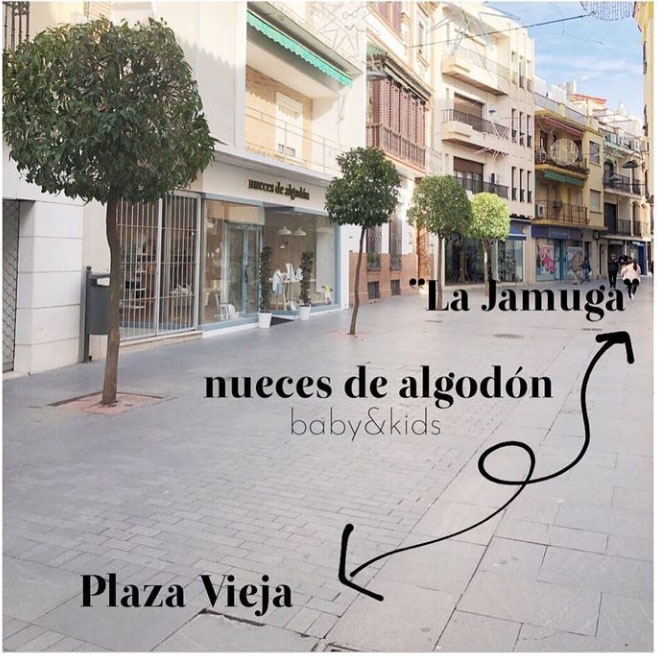 galeria nueces de algodon 2