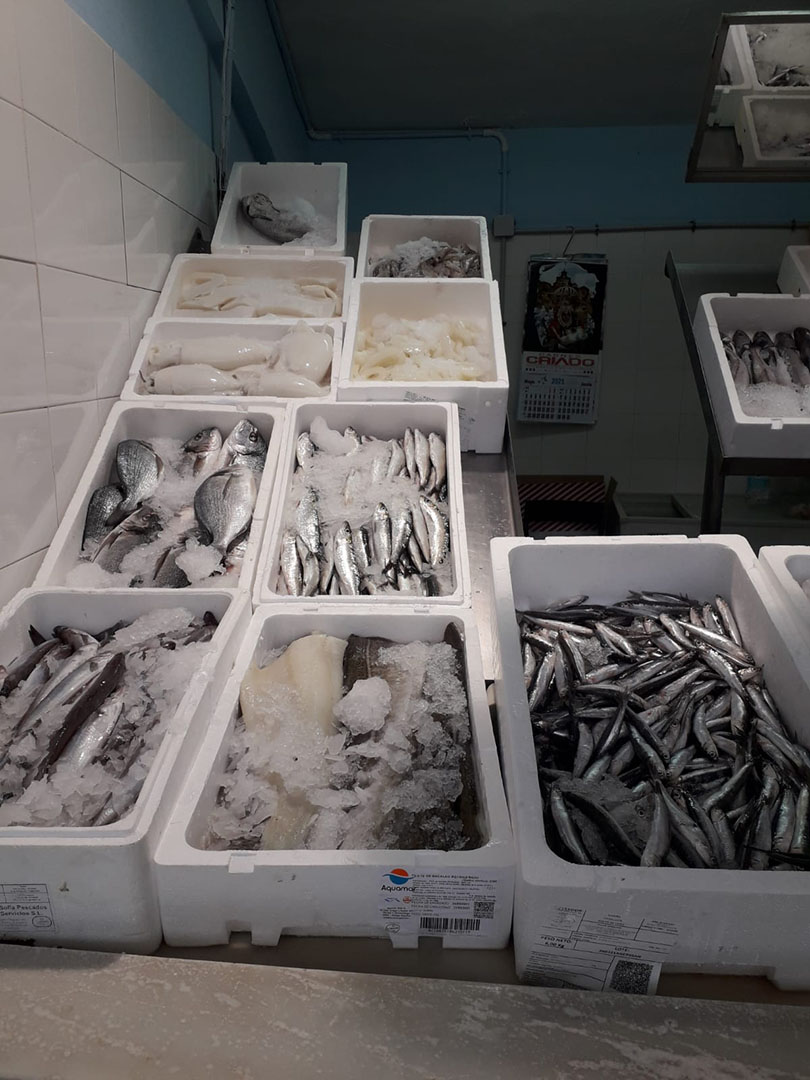 galeria pescaderia merche 2