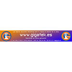 Gigatek 2020 Consultoría